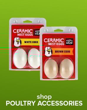 Shop Poultry Accessories